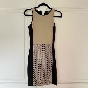 Hale Bob Suede Mini Dress